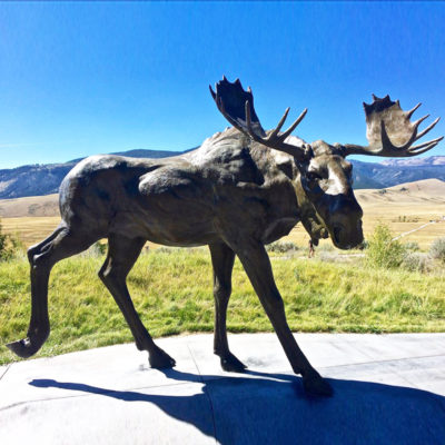 bronze sculpture moose