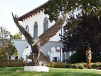 life size animal statues | eagle statue | hawk statues