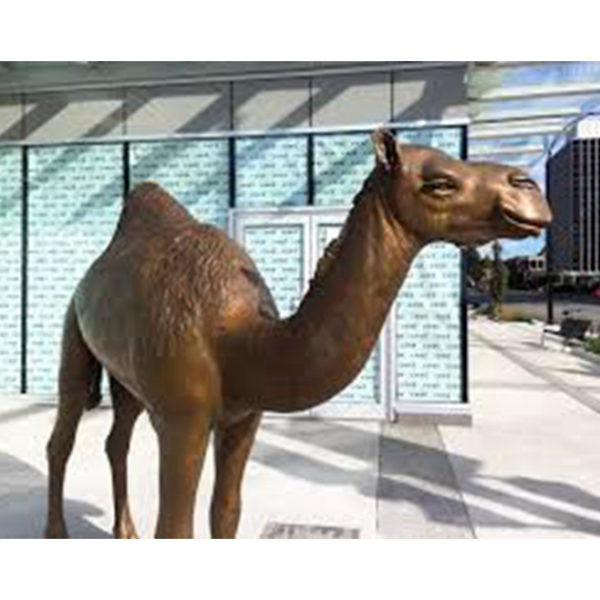 Wild camel statue
