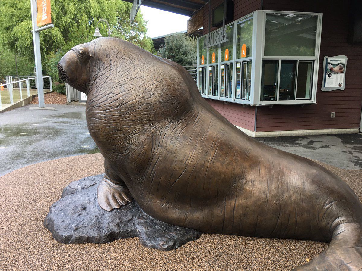 Cute seal statue