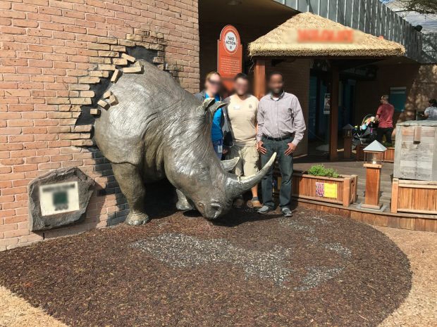 Mighty rhinoceros Statue