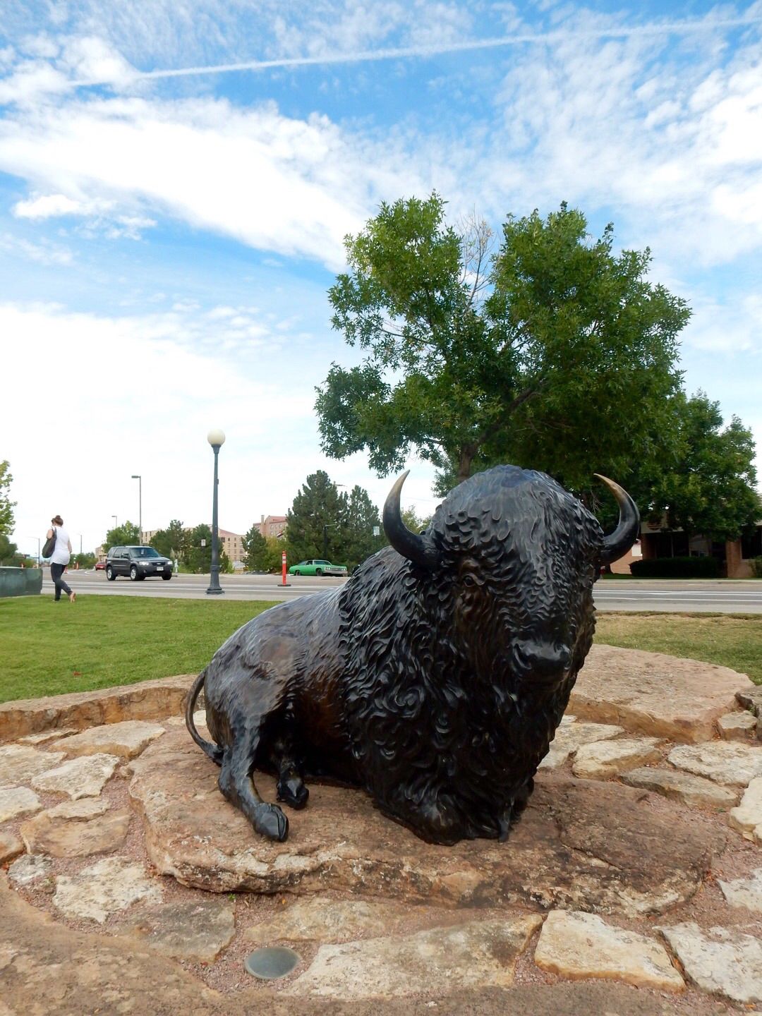 Outdoor bison statue