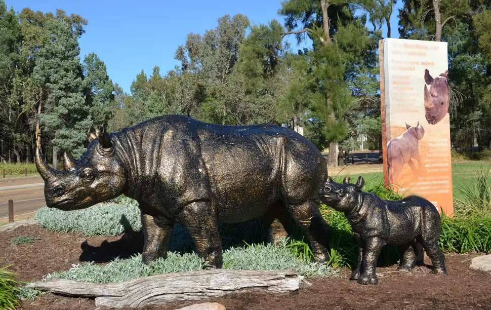 Outdoor rhinoceros
