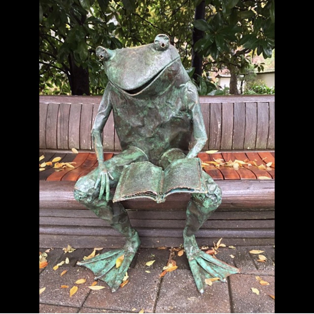 Reading frog statue