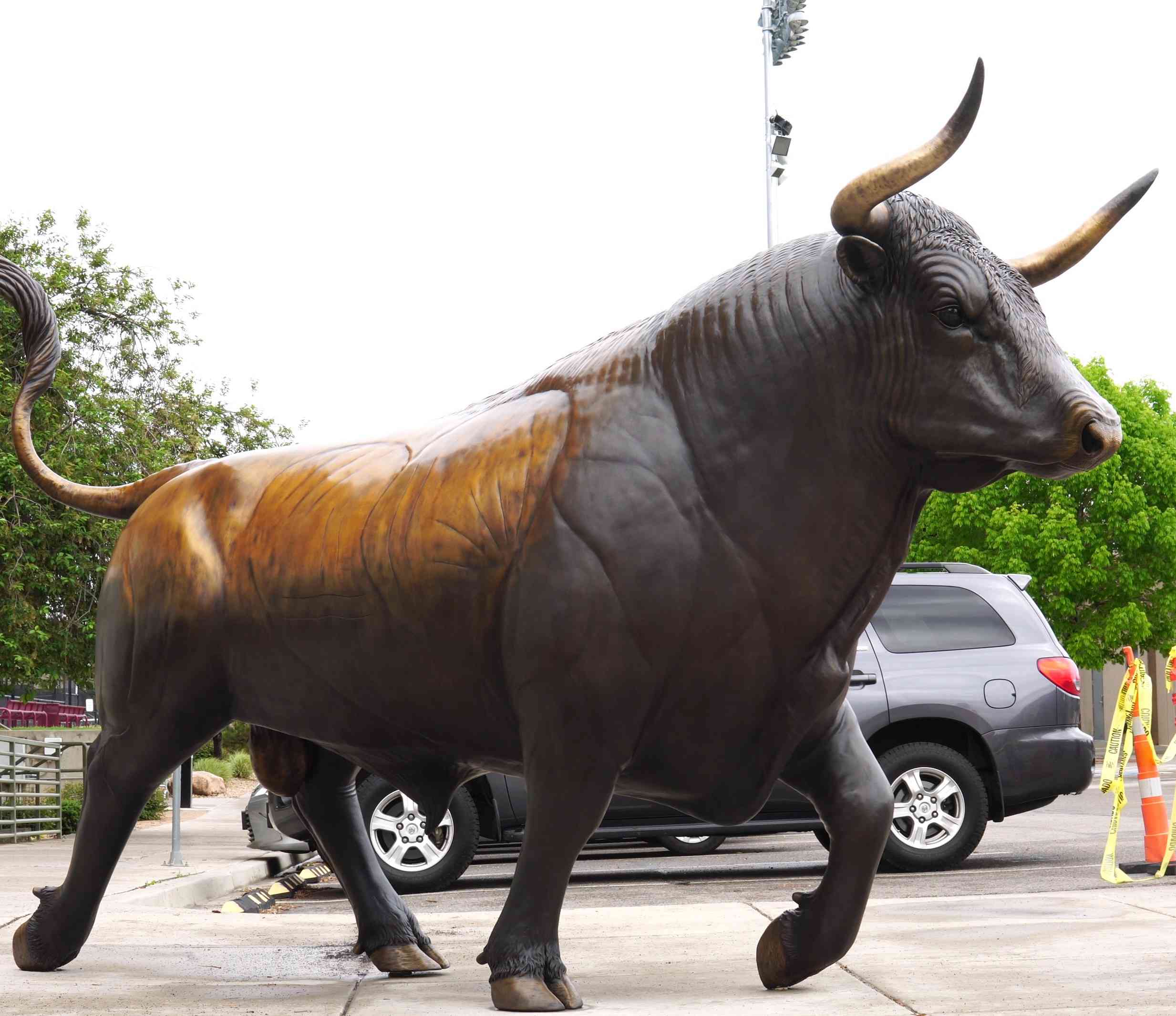 Square bull statue